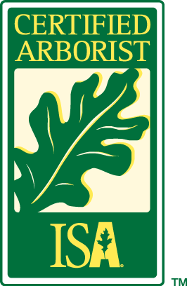 A certified arborist isa logo with an oak leaf