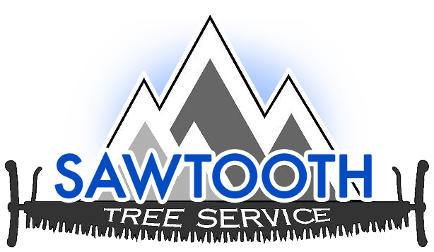 A logo for sawtooth tree service with a mountain in the background.