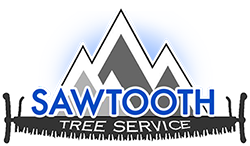 A logo for sawtooth tree service with a mountain in the background.