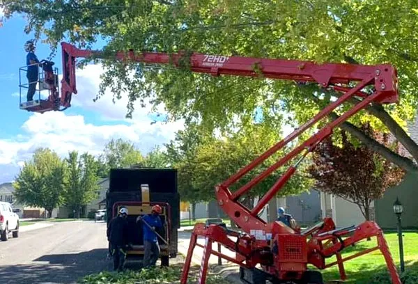 Red boom lift with worker pruning a tree beside a truck on a sunny street