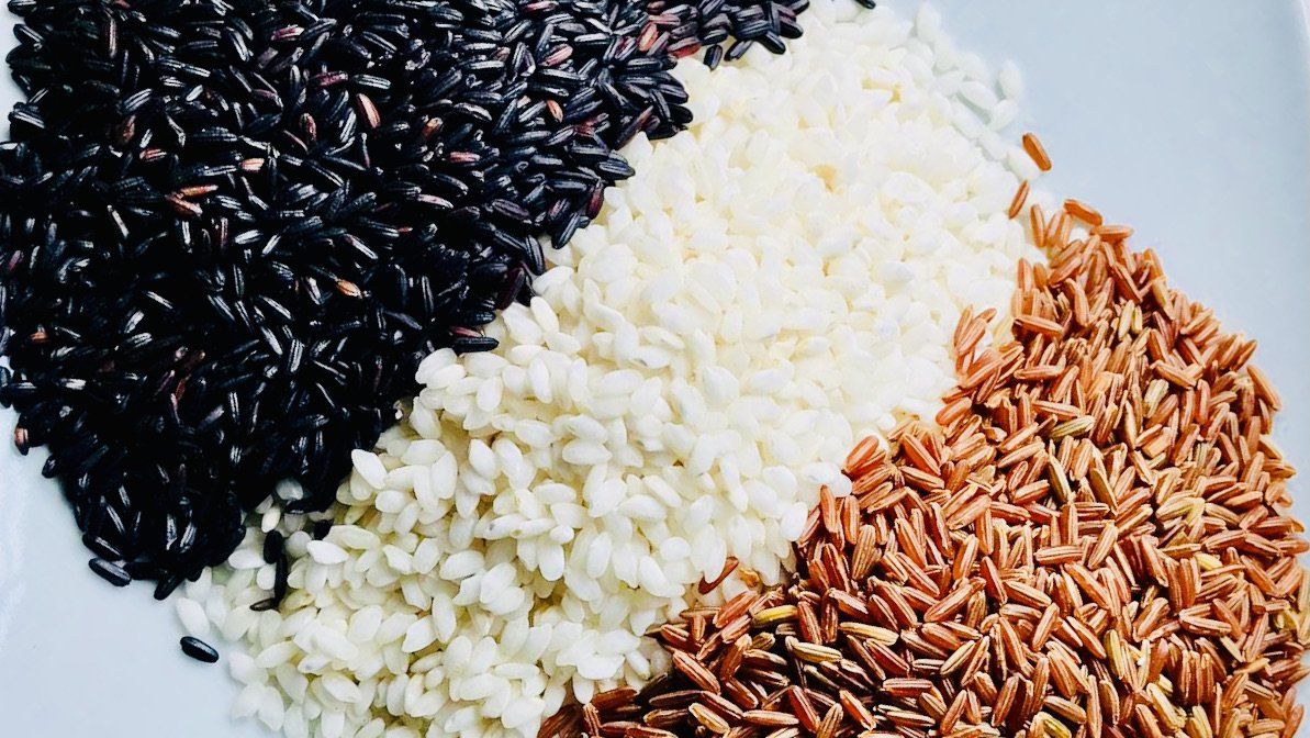 I Risotti del Dugongo