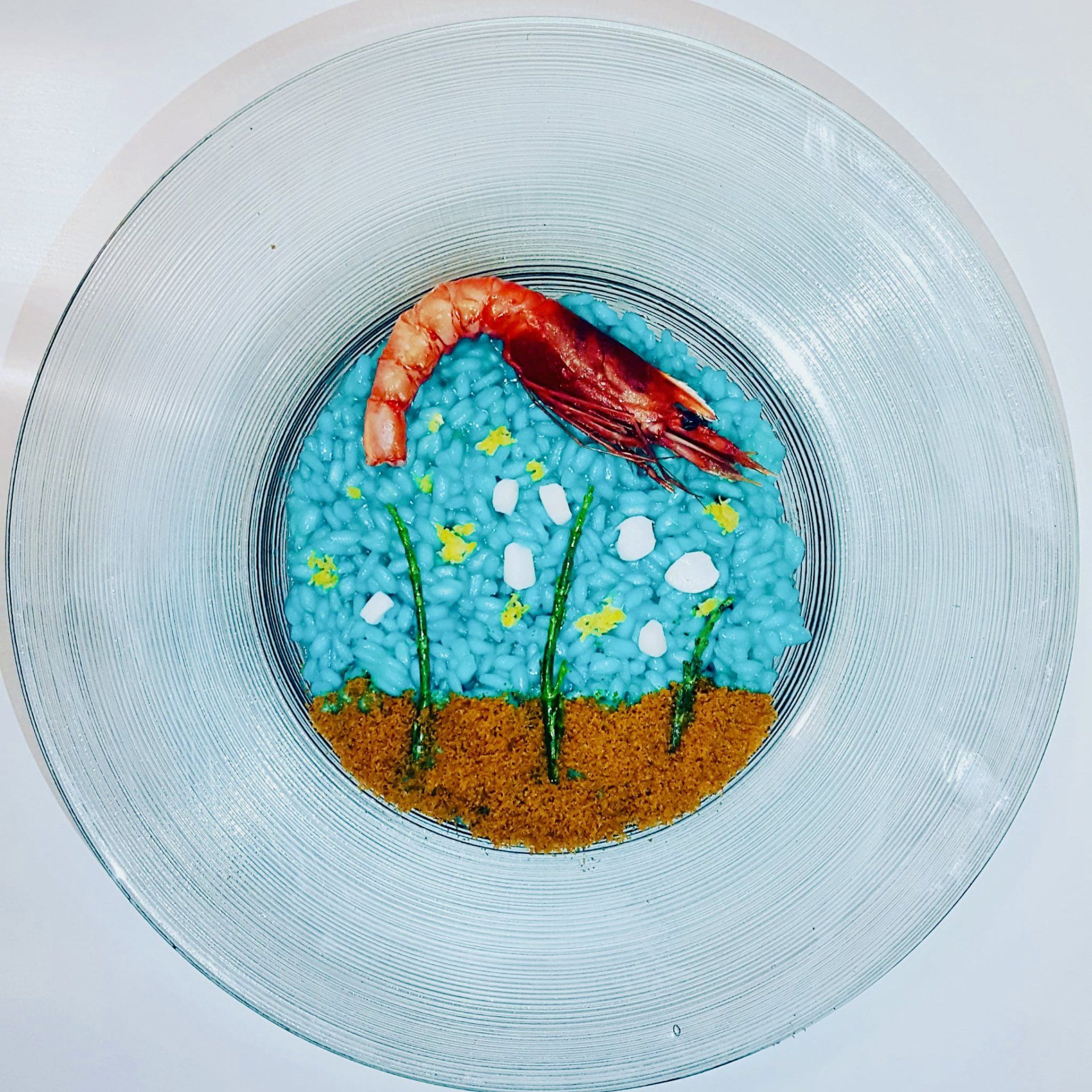 I Risotti del Dugongo