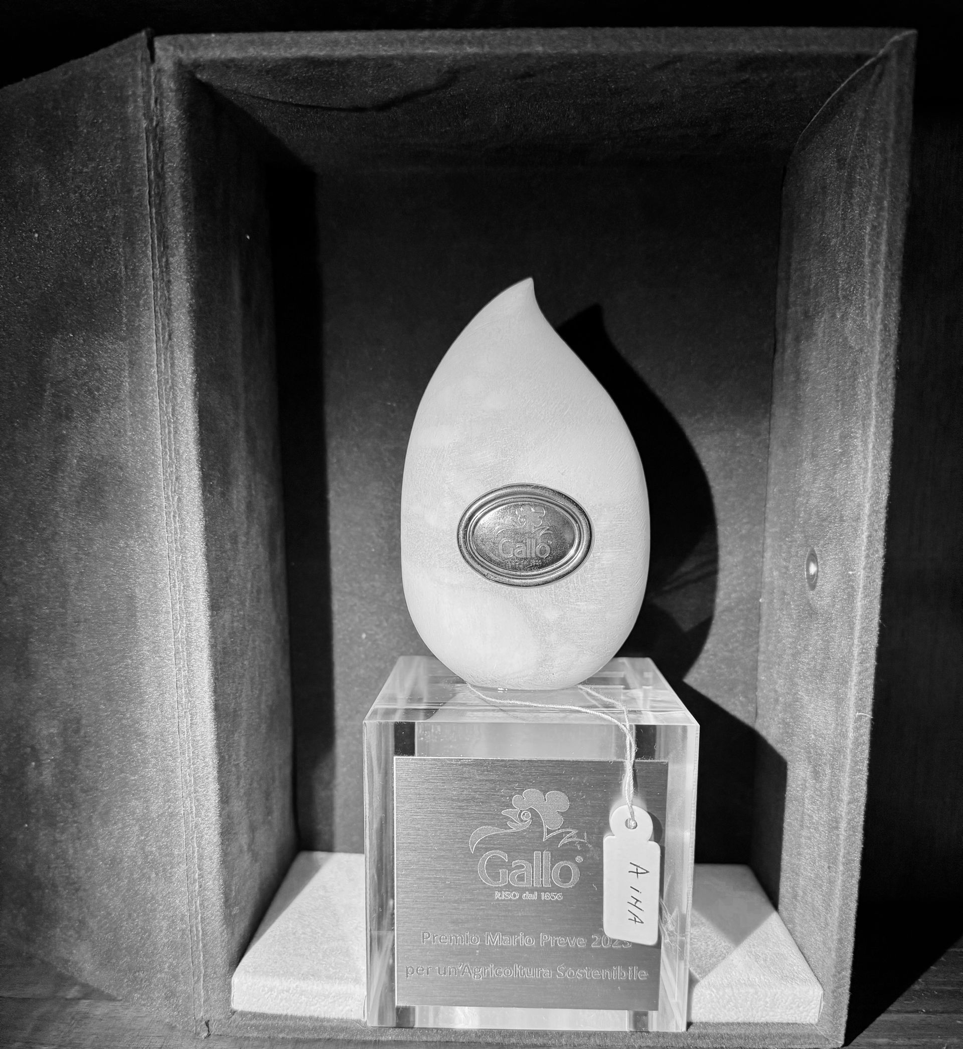 premio innovazione Aina Roberto e Federico Soc. Agr. S.S. per l'adozione di tecnologie innovative nel rispetto dell'ambiente