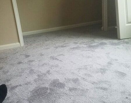 New carpet installed - flooring installations in Jacksonville, FL
