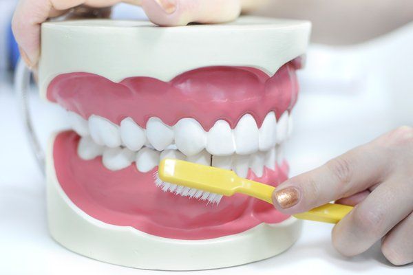 Cosmetic Dentist — Dentist Teaching How to Clean a Teeth in Artificial Teeth  in Saint Peters, MO