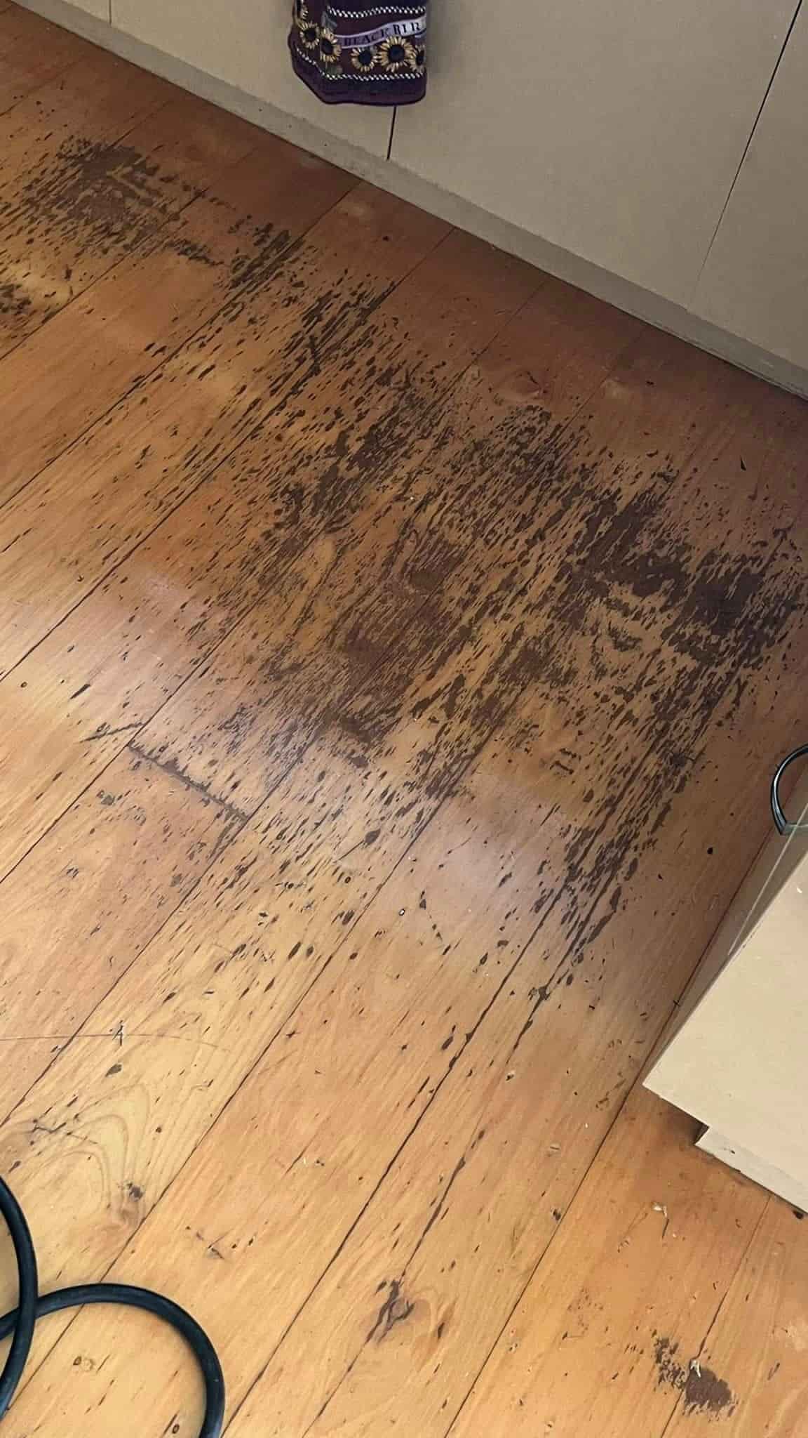 Dirty Wooden Floor for Repair Besides a Shelf — Floor Sanding in Kearneys Spring, QLD