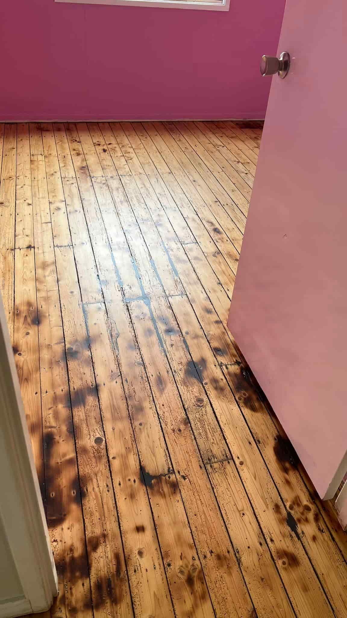 Freshly Stained Floor, Showcasing Affordable floor Sanding Expertise — Floor Sanding in Warwick, QLD