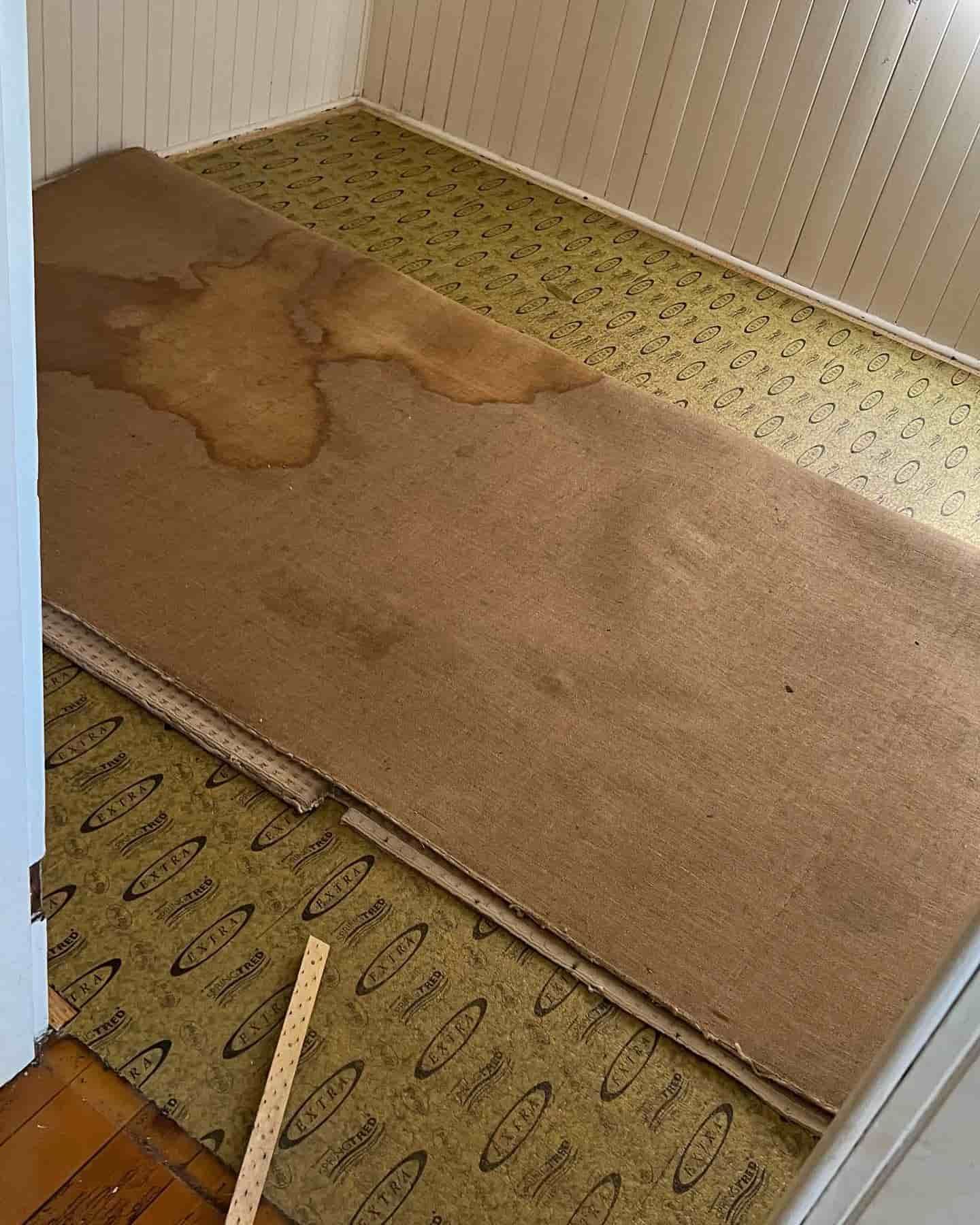 Dirty Floor Carpet in a Small Room with White Walls — Floor Sanding in Kearneys Spring, QLD