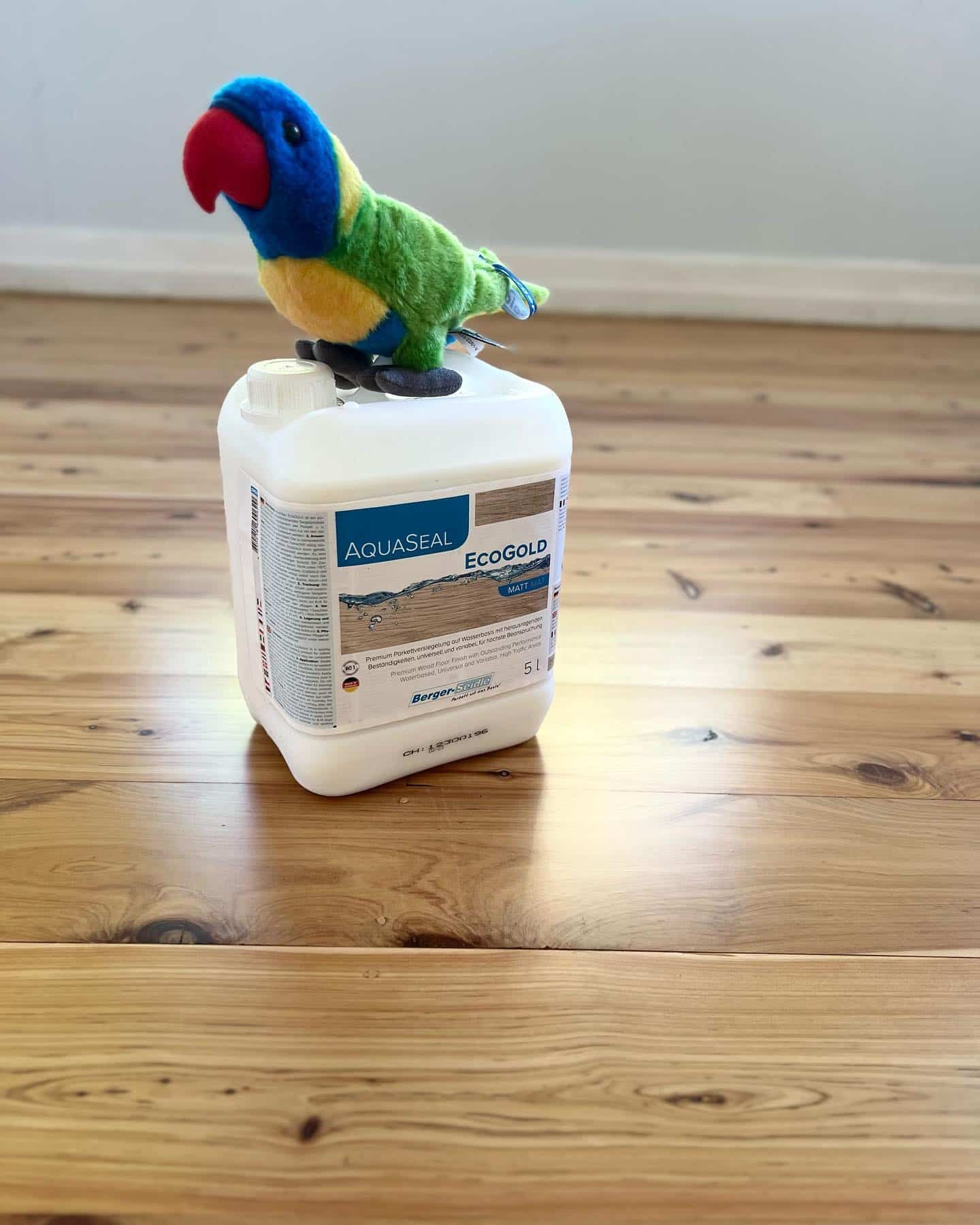 Enhance your Space with the Affordable floor Sanding Expertise of Aquaseal Floor Coat — Floor Sanding in Gatton, QLD