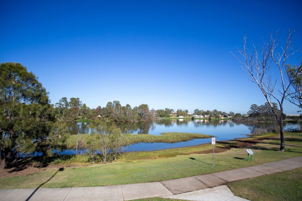 A Beautiful Waterfront Park having Trees in Middle and Background — Floor Sanding in Gatton, QLD