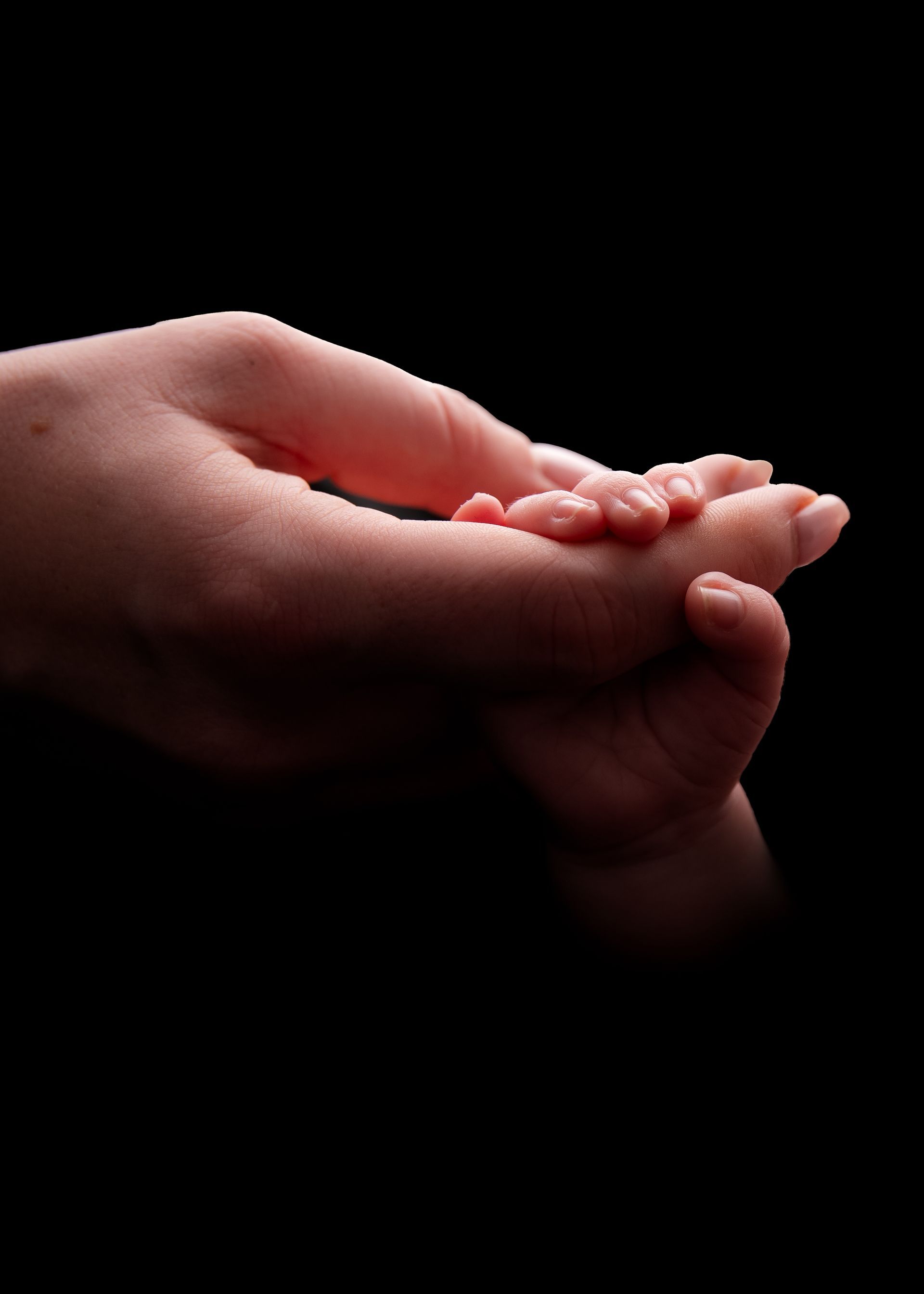 Een pasgeboren baby slaapt op een bed met een knuffelkonijn in zijn armen.