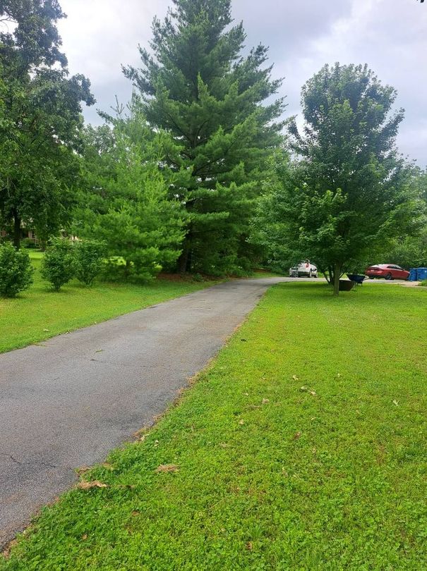 Asphalt driveway through green lawn, trees, and cloudy sky.