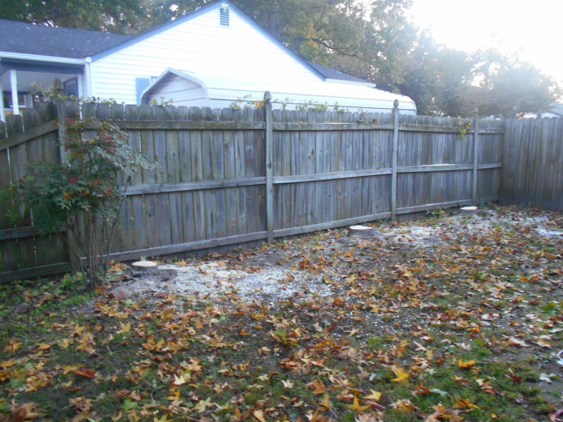 Removed Backyard Tree — Newport News, VA — Trees R Us Inc