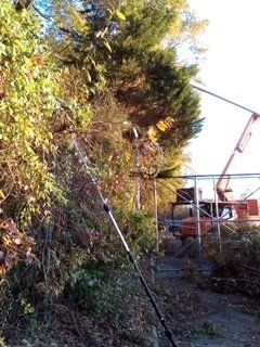 Crane on The Other Side of Fence — Newport News, VA — Trees R Us, Inc.