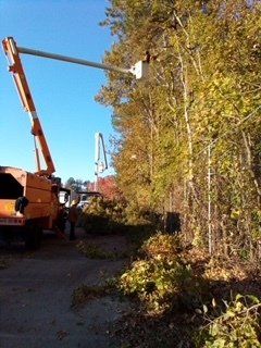 Man Cutting Tree from Above — Newport News, VA — Trees R Us, Inc.