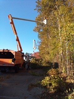 Man on A Crane — Newport News, VA — Trees R Us, Inc.