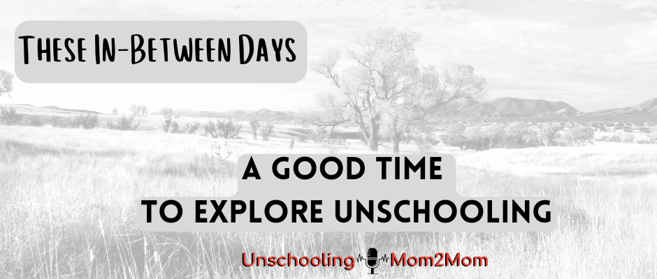 These In Between Days - A Good Time to Explore Unschooling