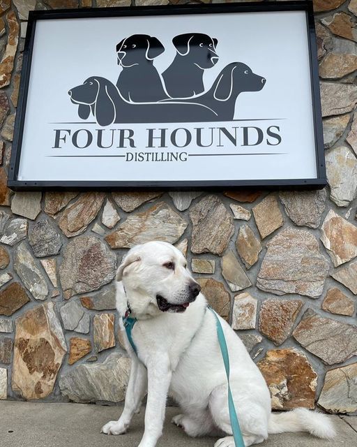 Four Hounds aluminum and vinyl sign with custom wood frame