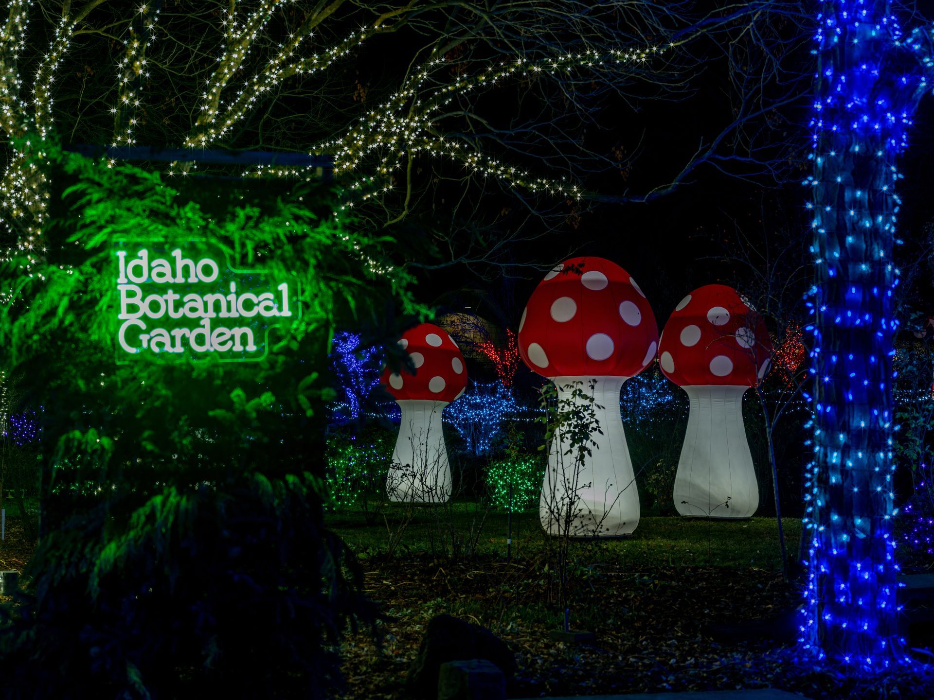 Idaho Botanical Garden illuminated at night with red and white mushroom decorations.