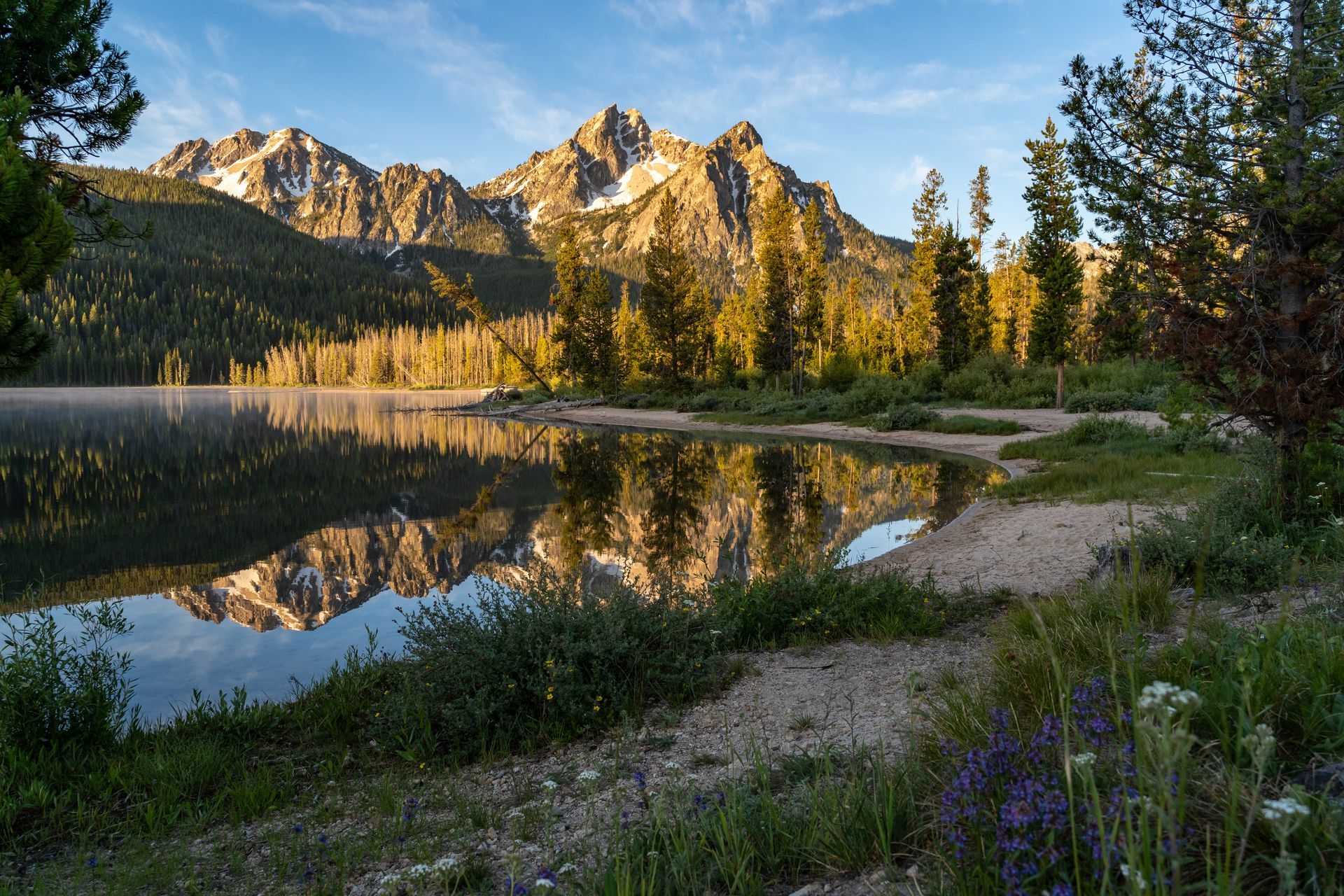 Mountain range reflected in a calm lake at sunrise, trees and wildflowers in foreground.