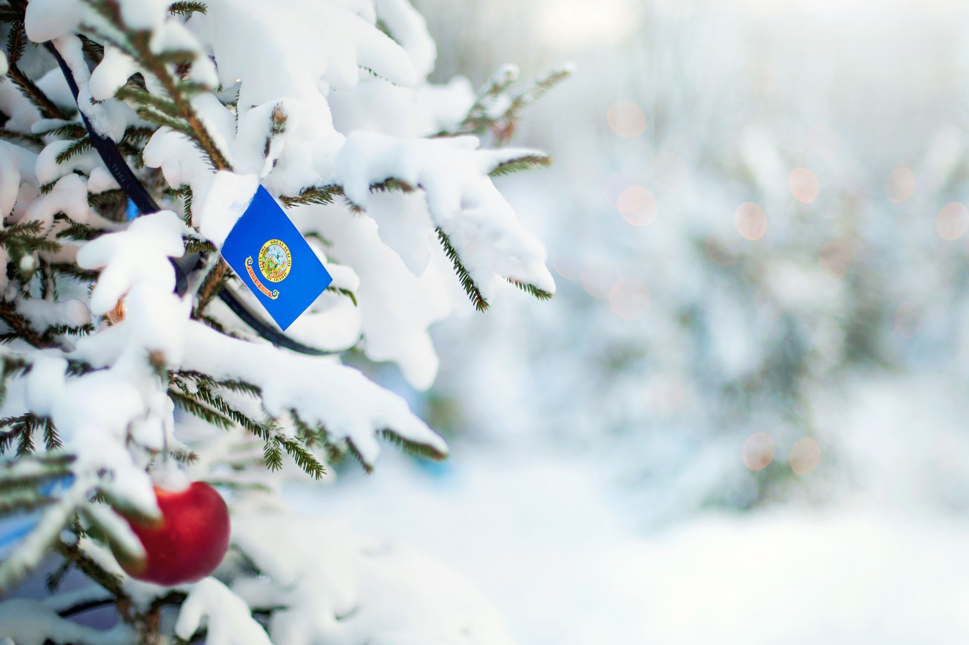 Snow-covered evergreen branch with South Dakota flag ornament and red bauble; snowy background.