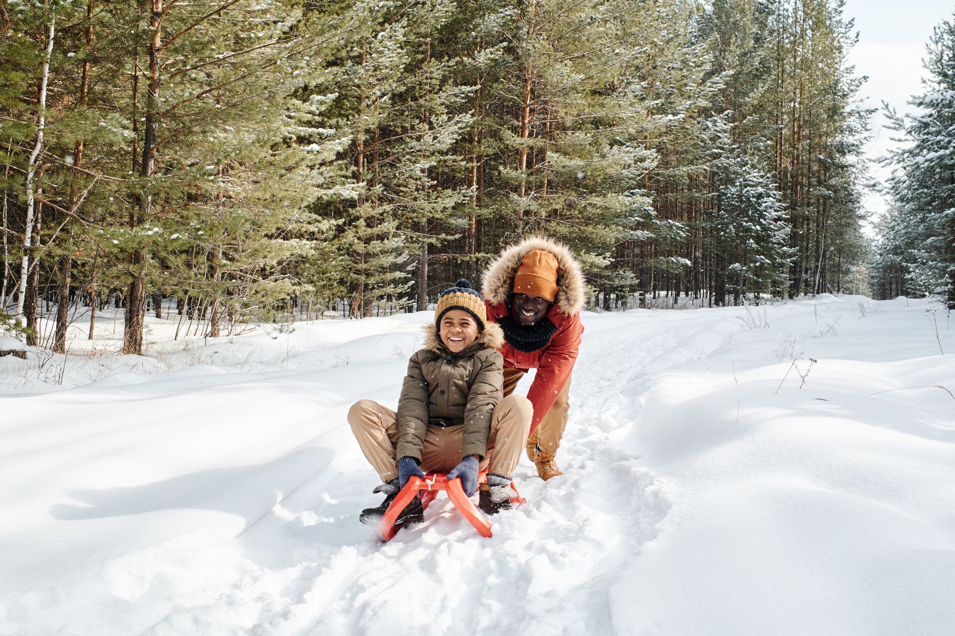 A person pushing a child on a red sled through a snowy forest with tall pine trees in the background.