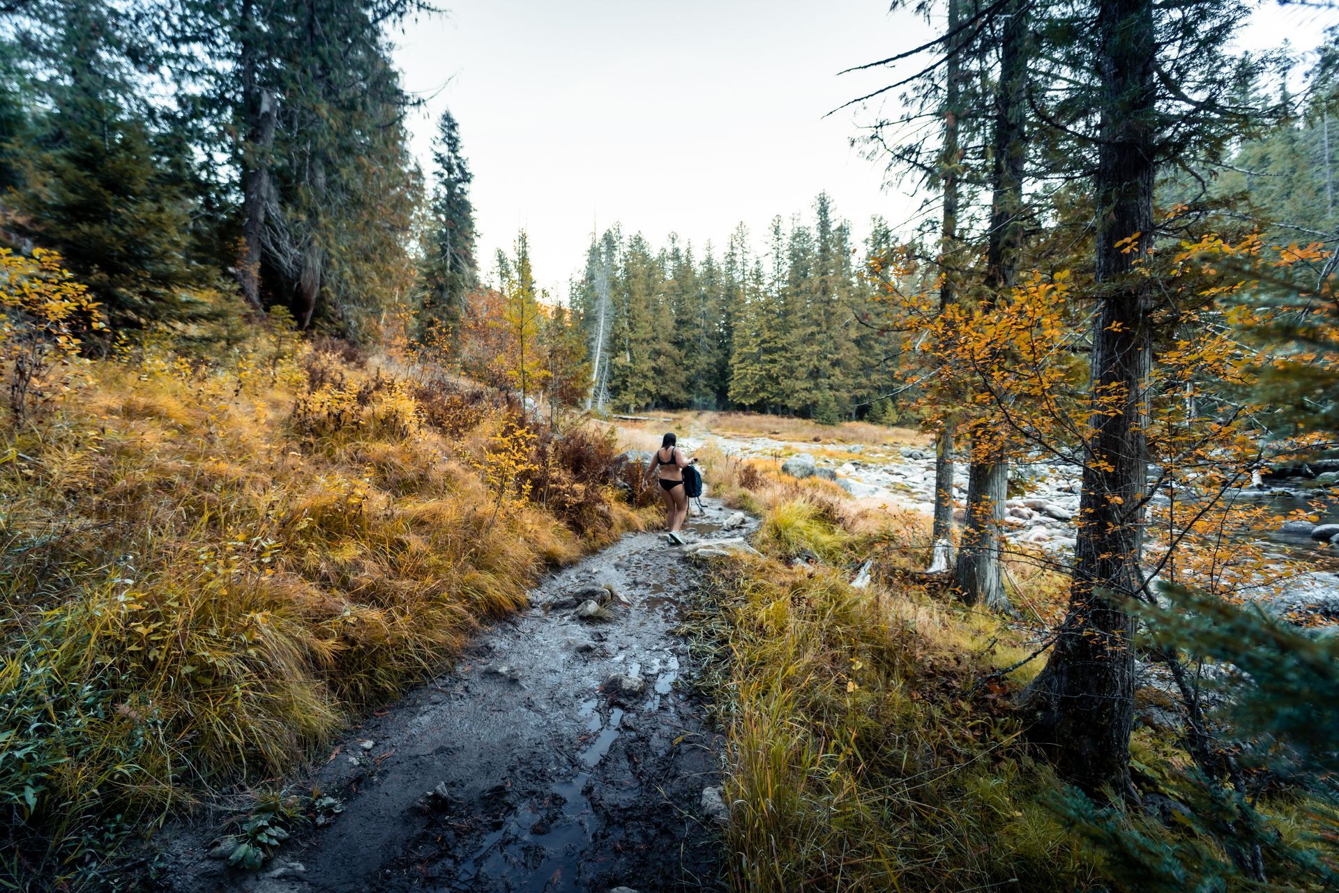 Person walking on a muddy trail through a forest with yellow and green foliage.