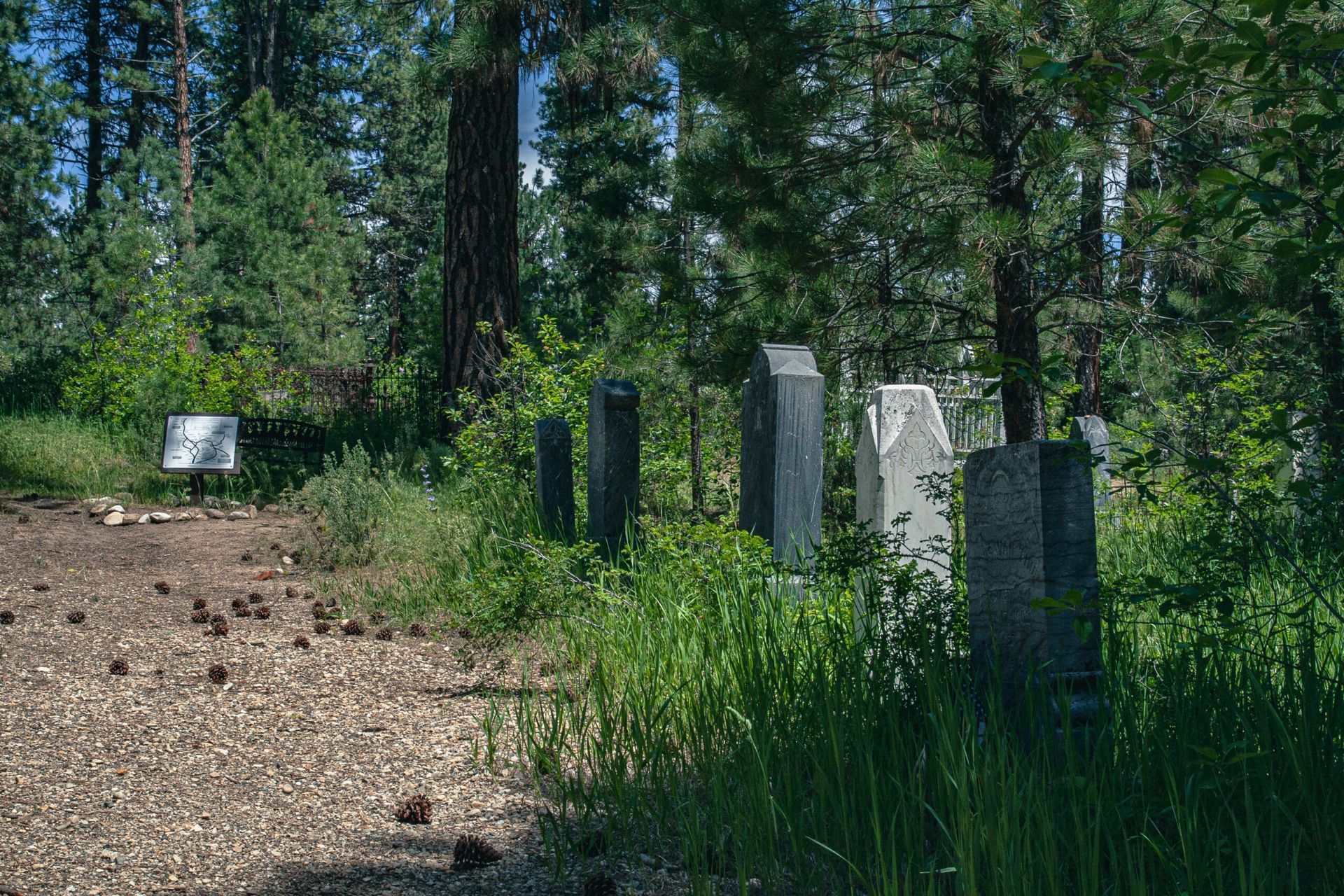 A cemetery in the middle of a forest surrounded by trees and grass.