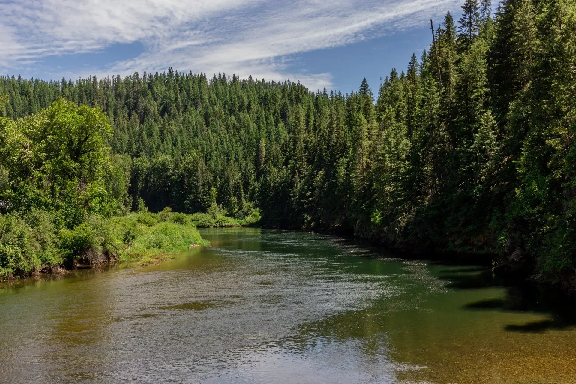 A river surrounded by trees on a sunny day