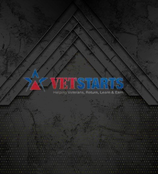 VETSTARTS logo over a dark, geometric background; text: