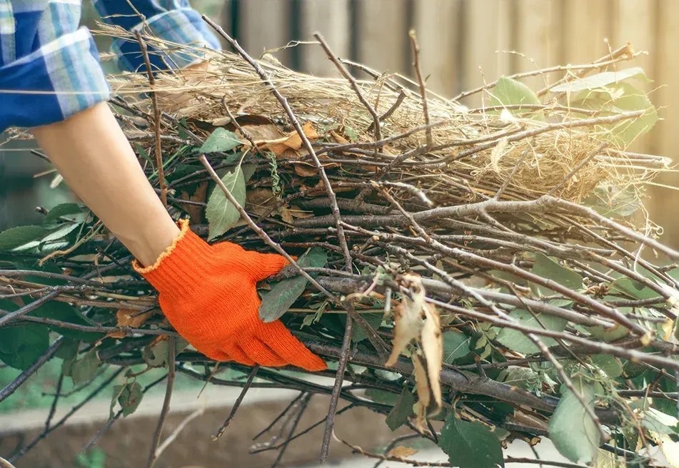 yard and landscaping waste