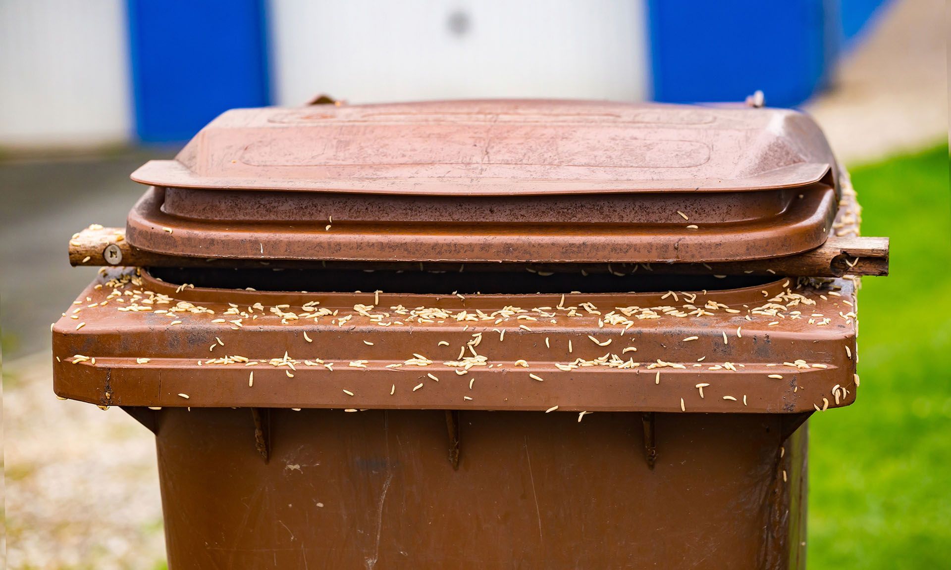 A brown garbage can with a blue and white building in the background.