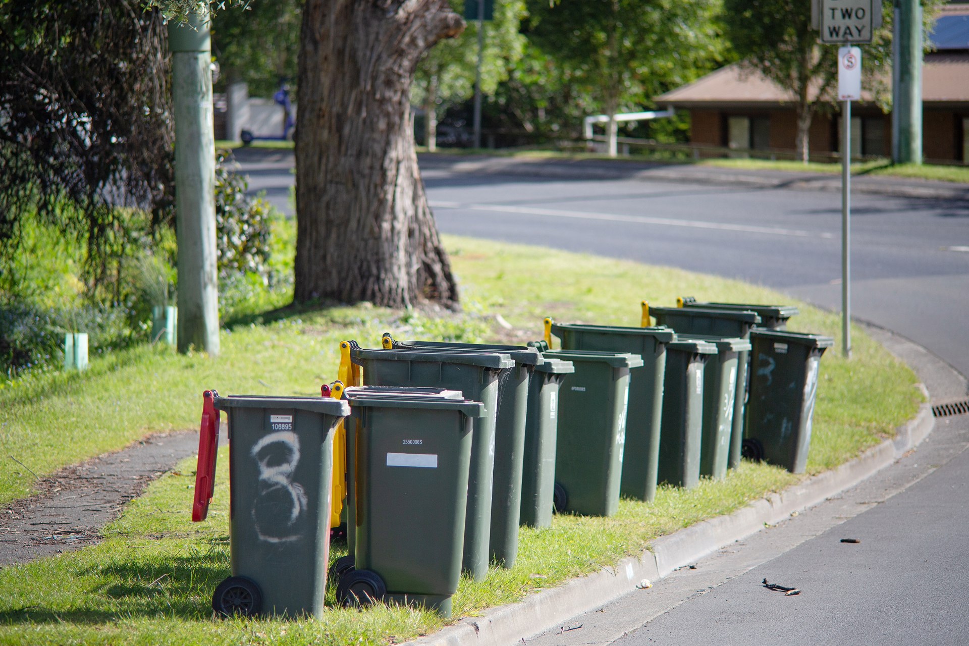 Row of colorful recycling bins on a sidewalk under trees; sunny day.