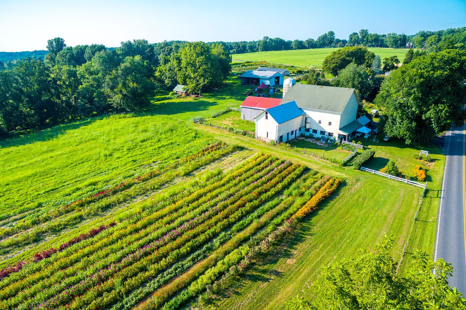 gestione di mosche ed insetti delle derrate