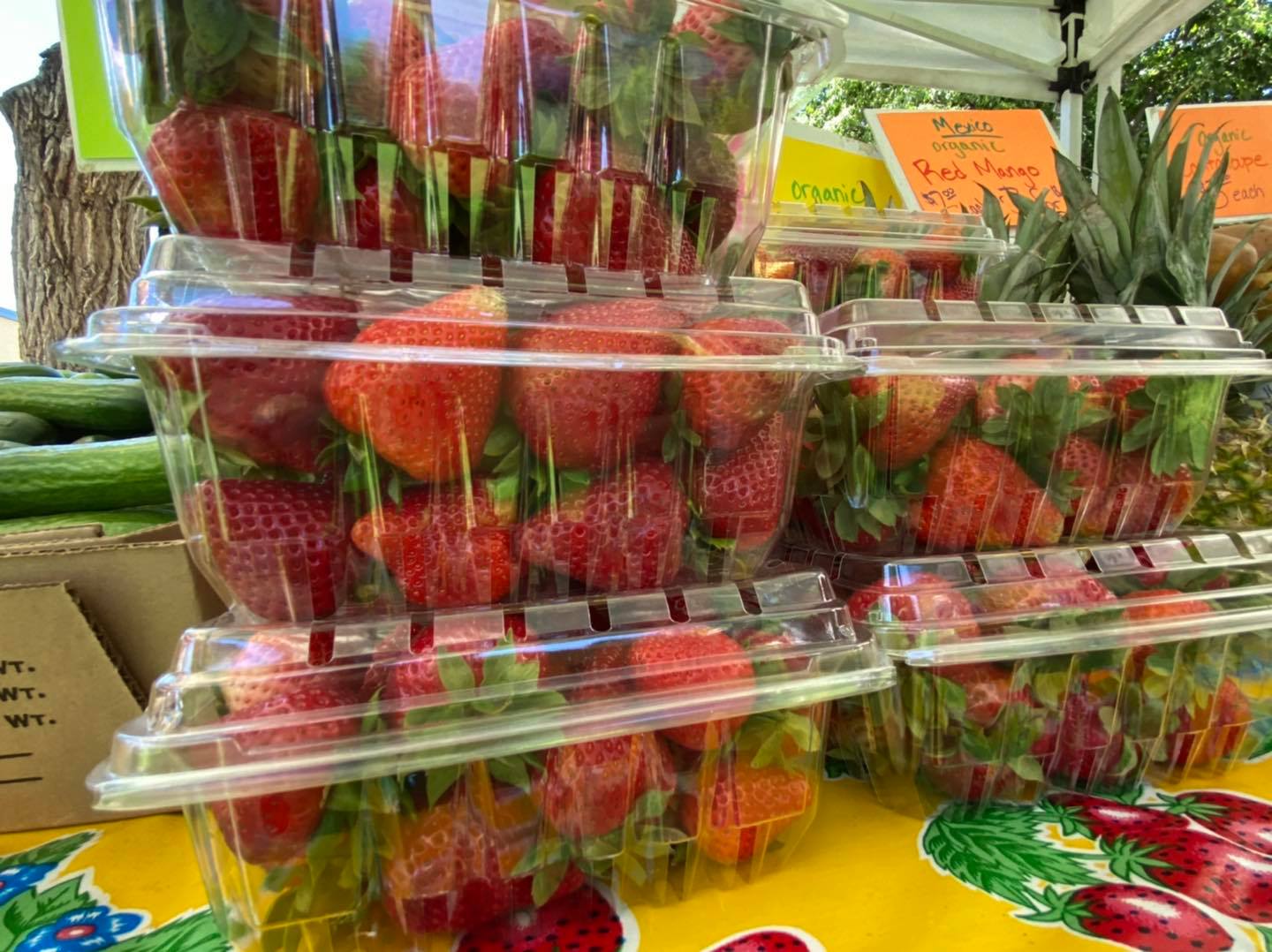 Local Food Market in Arvada, CO Arvada Farmers Market Local Foods