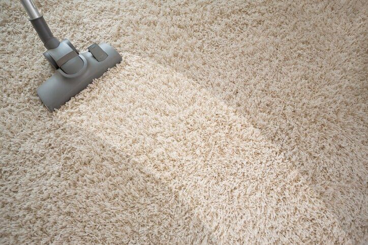 Cleaning Dirty Carpet — Carpet in South Bend, IN