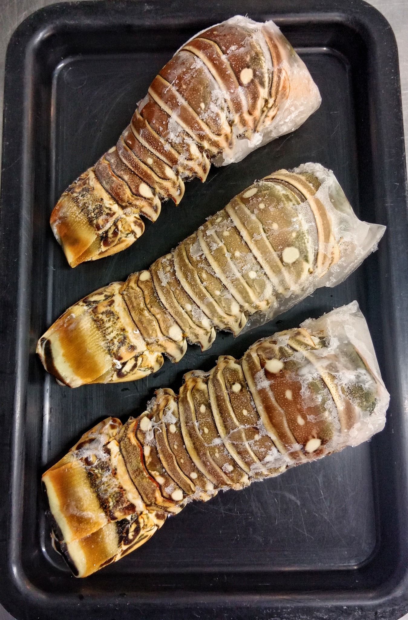 Three Frozen Lobster Tails on A Black Baking Tray — Glenmore Seafoods In Park Avenue, QLD