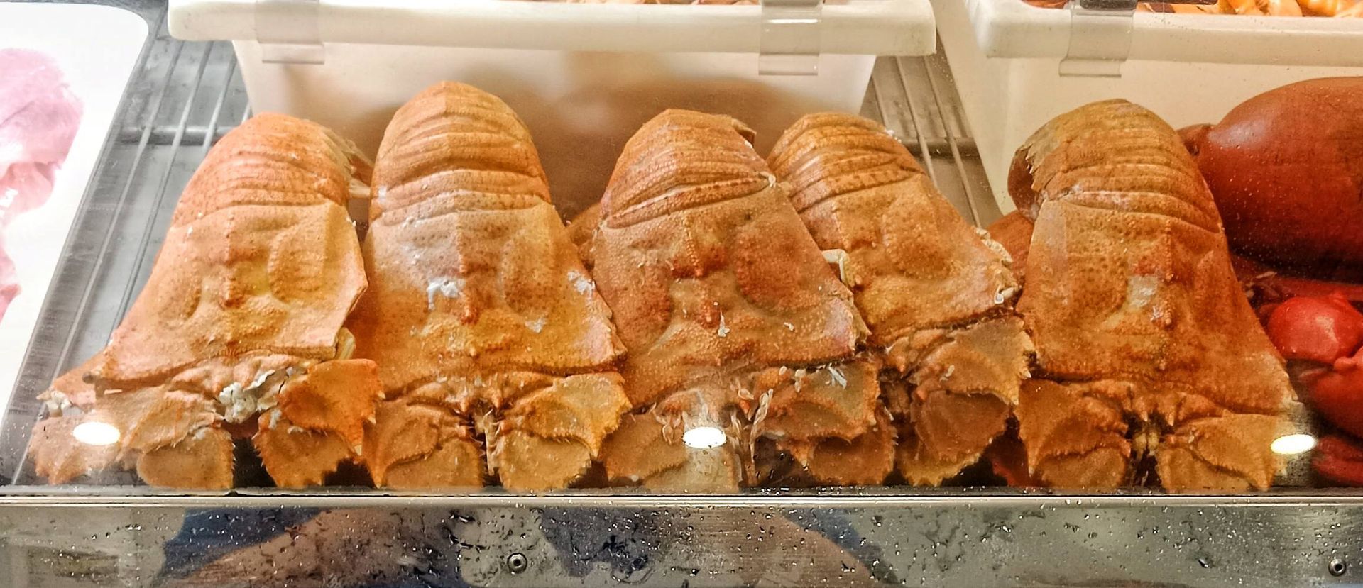 Display Case with Cooked Mantis Shrimp, Orange-Brown in Colour — Glenmore Seafoods In Park Avenue, QLD