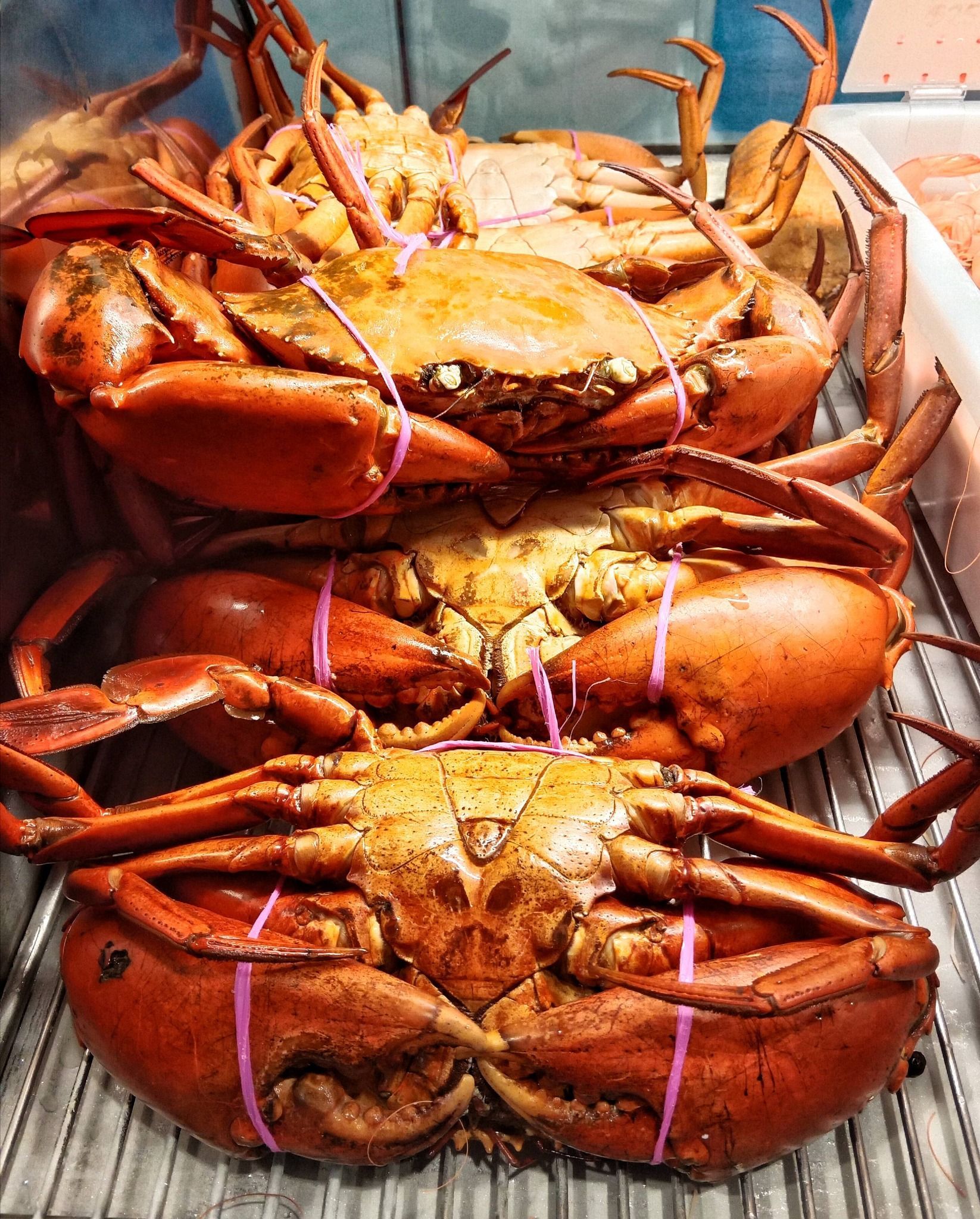 Three Whole, Reddish-Orange Mud Crabs — Glenmore Seafoods In Park Avenue, QLD
