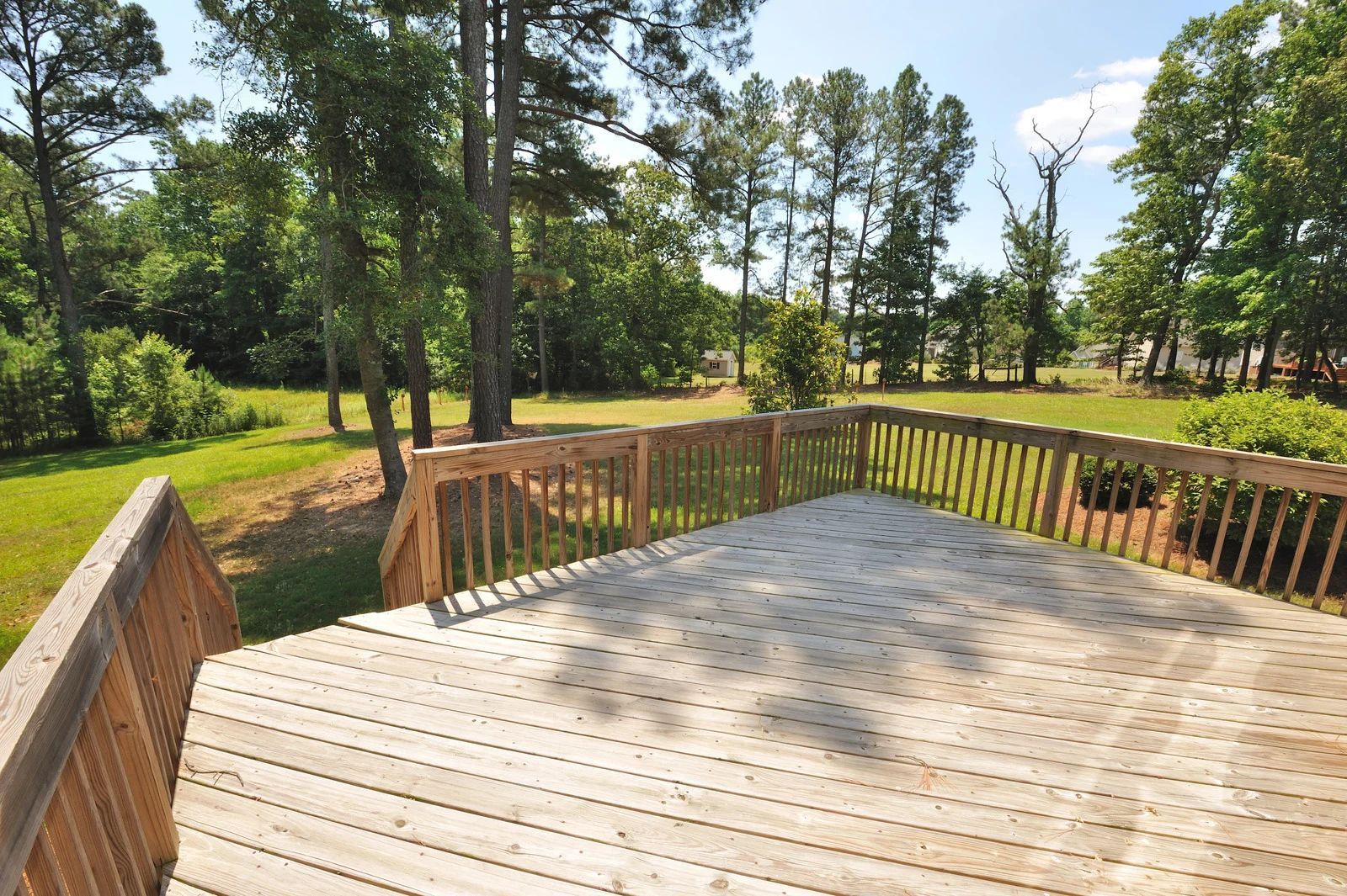 Wooden deck overlooking a grassy yard and tall pine trees in bright sunlight