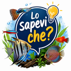 Lo sapevi che? - Curiosità e approfondimenti sull'acquariofilia