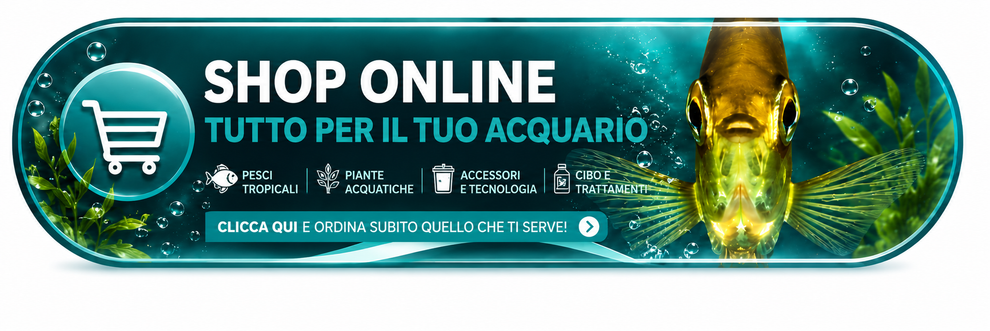 Shop online Fish In Net - tutto per il tuo acquario