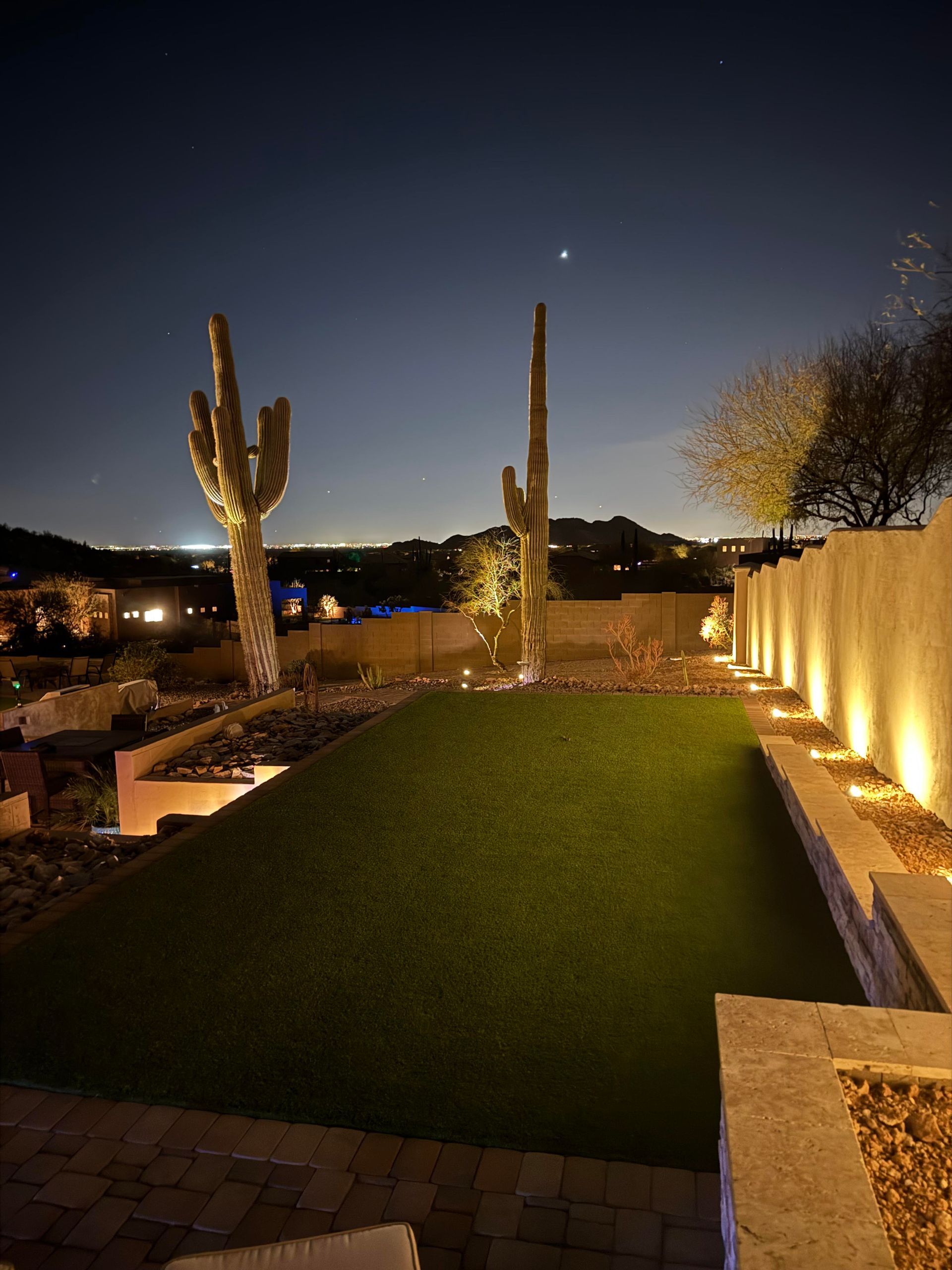 A backyard with a cactus in the middle of it at night
