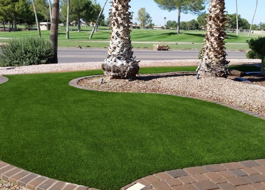A lush green lawn with palm trees in the background