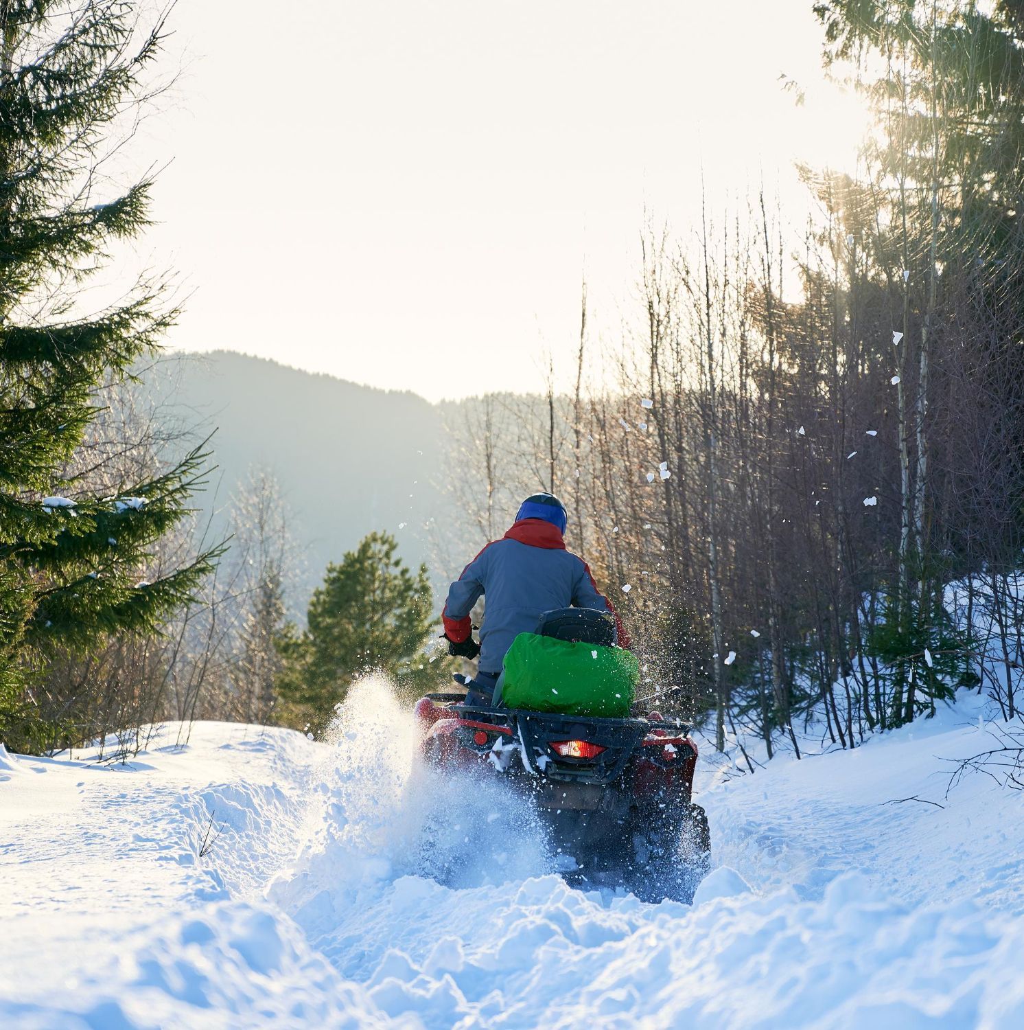 Person on ATV driving through snow-covered forest. Bright sunlight, mountains in the background.