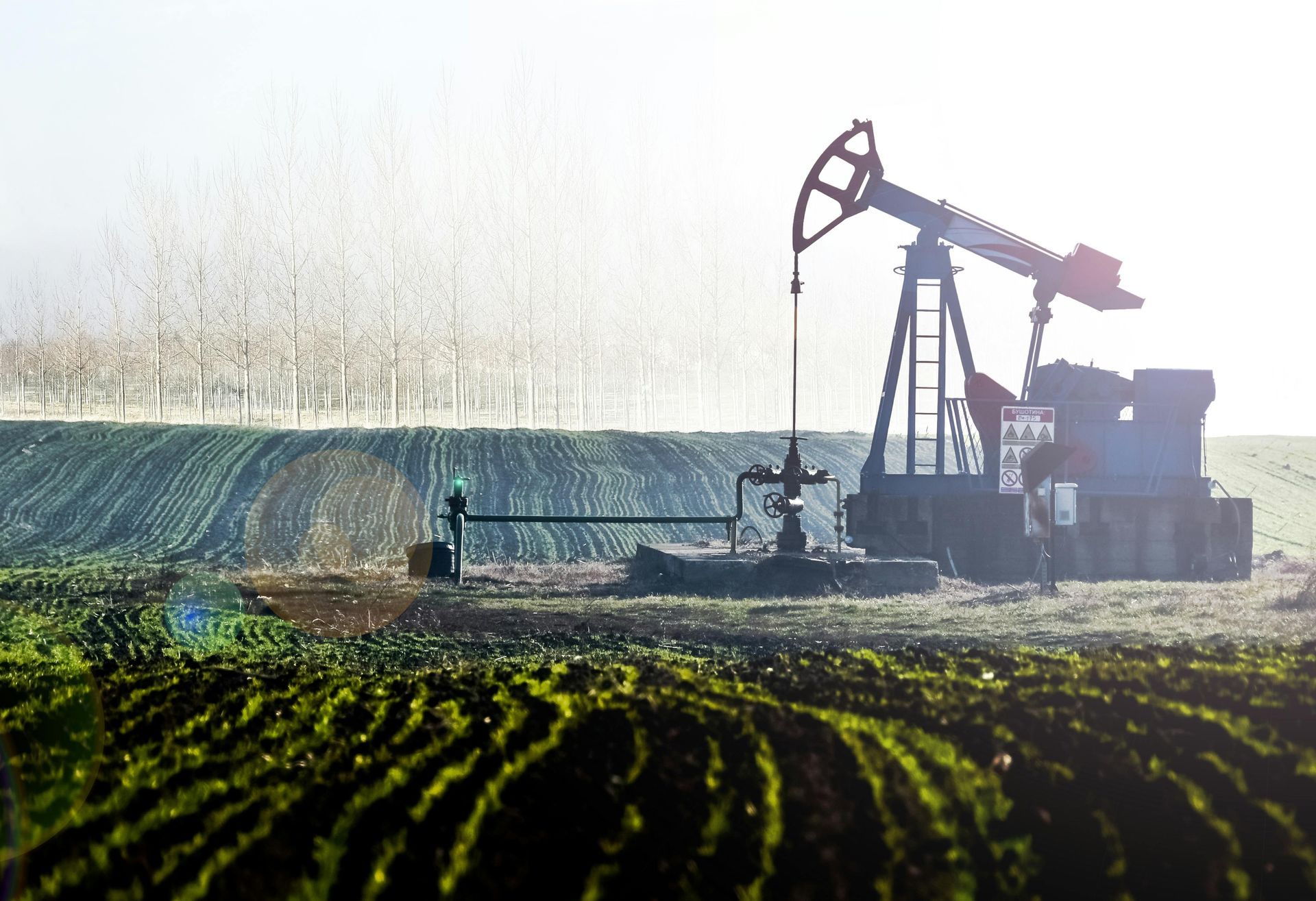 Oil pumpjack in a green field with trees in the background, bathed in sunlight.