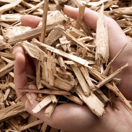 Eine Person hält einen Haufen Holzspäne in der Hand