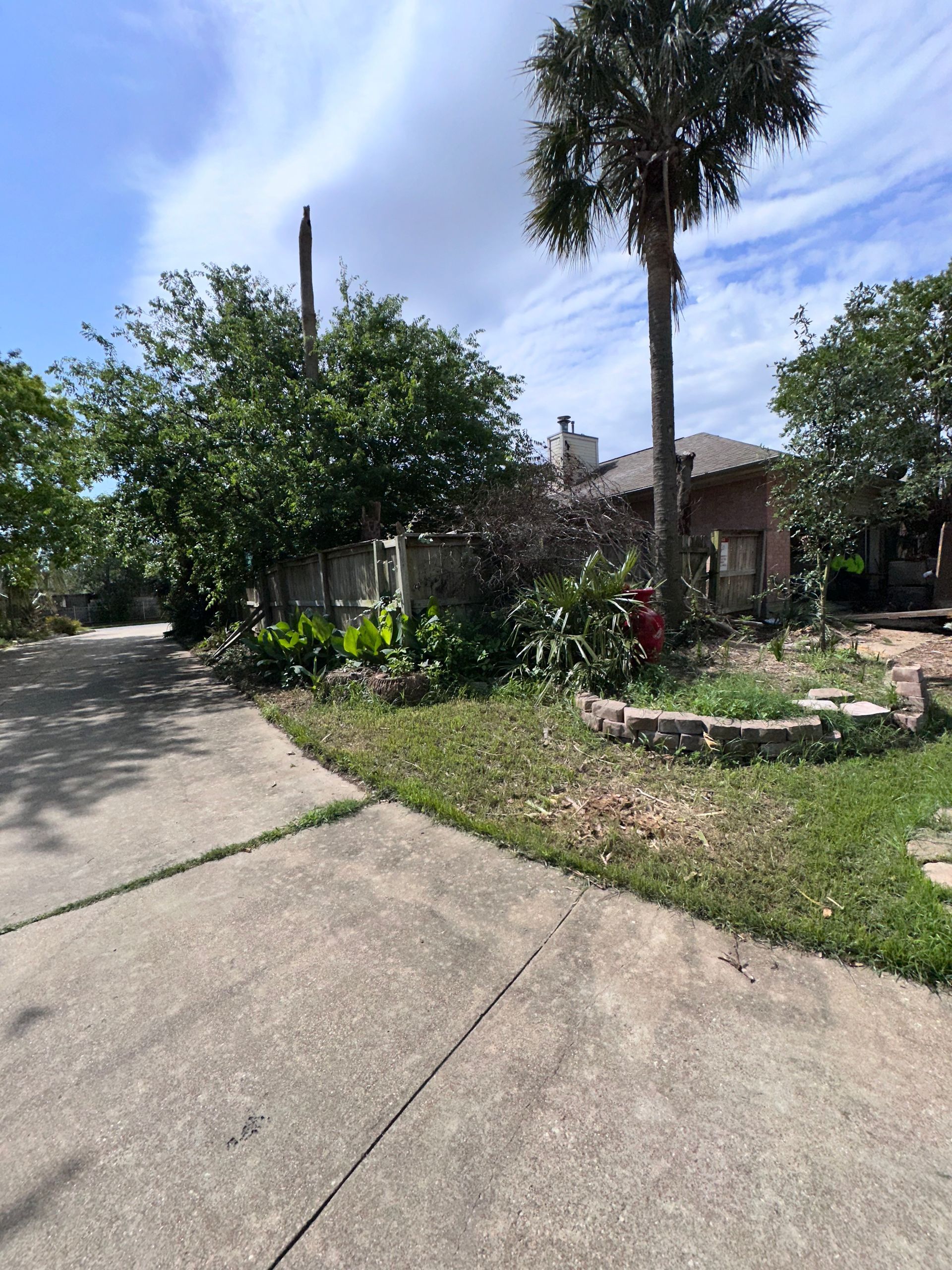 Concrete driveway leads to a house with a palm tree, bushes, and a flower bed on a sunny day.
