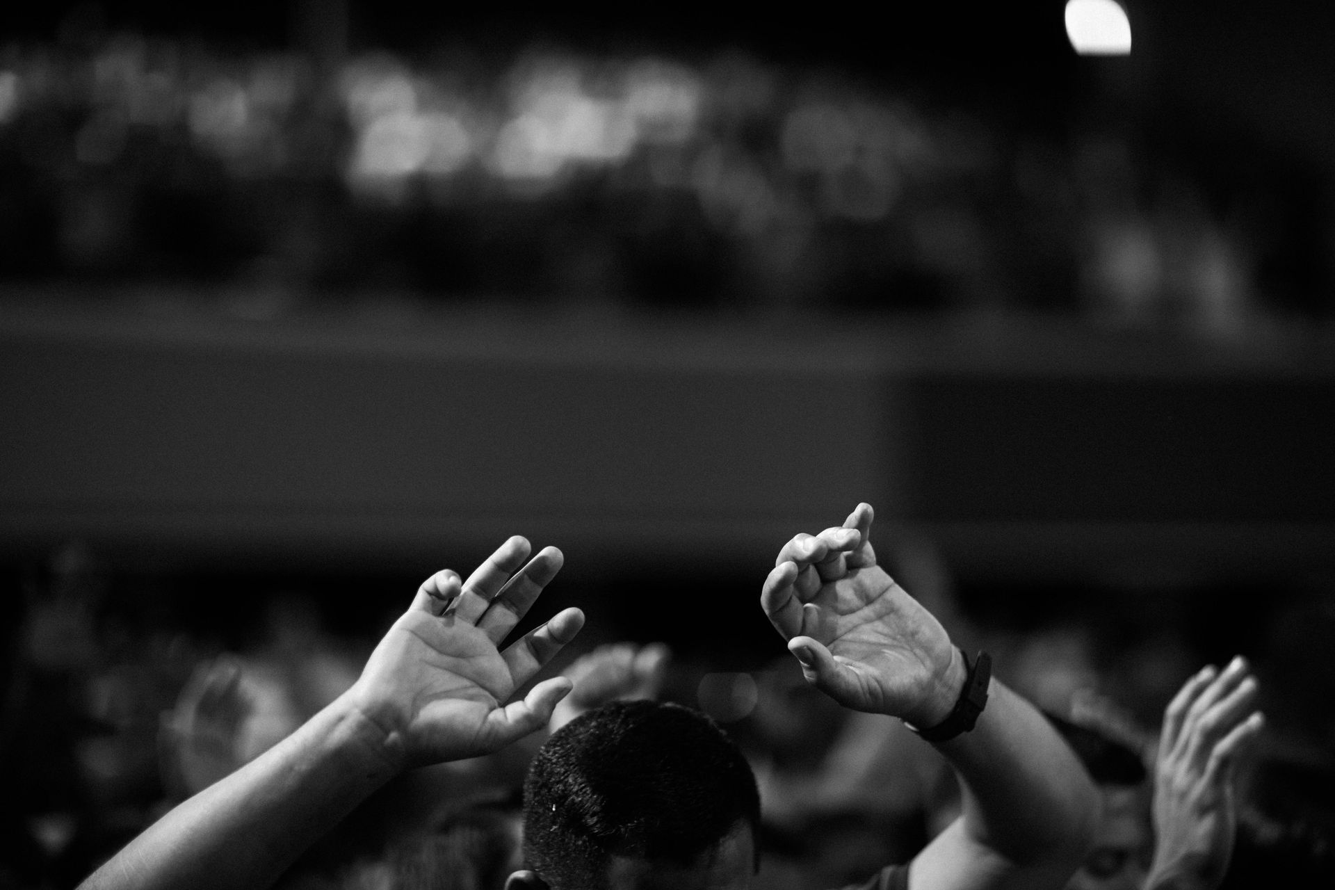 A group of people are raising their hands in the air in a black and white photo.