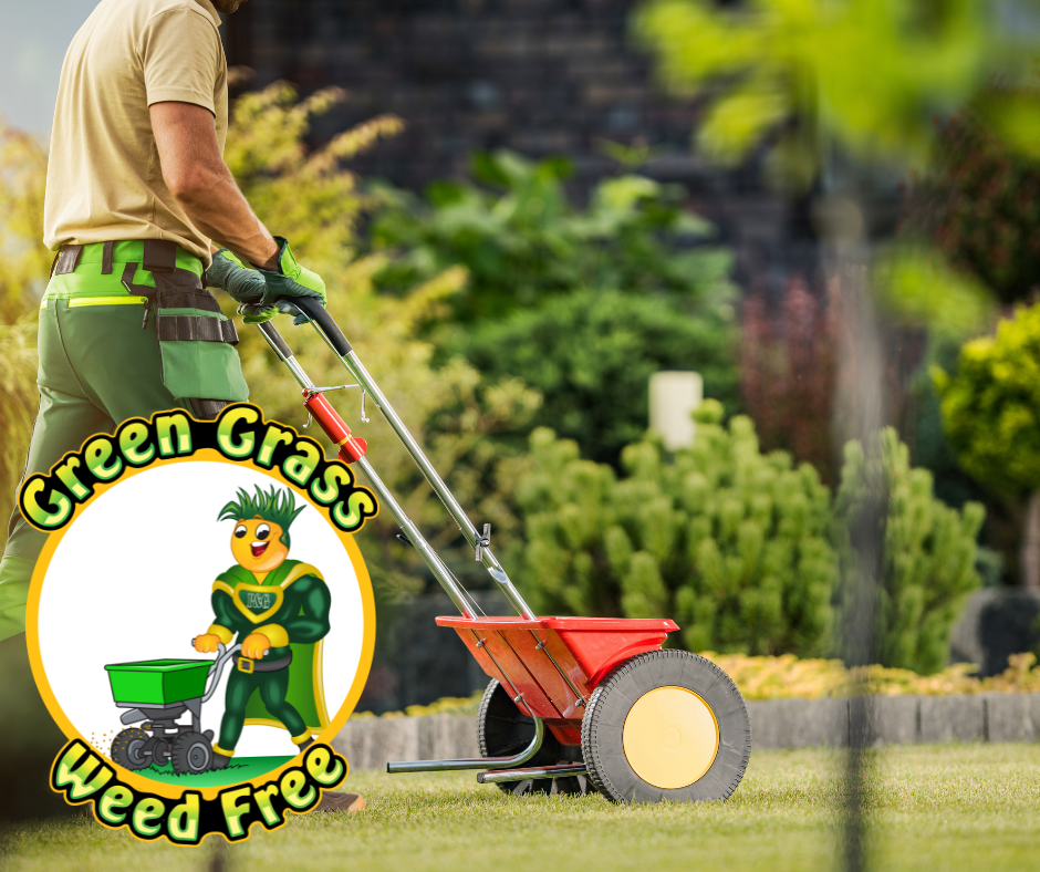 lawn care in Charlotte NC